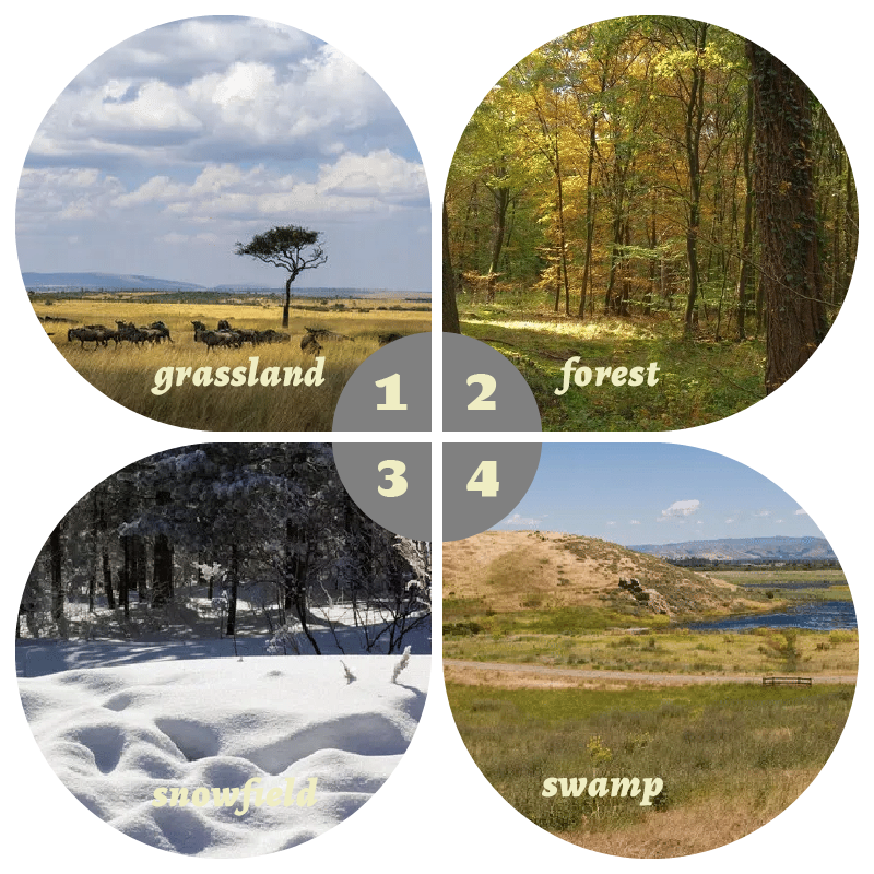 Camouflage Pop-Up Hunting Blin - đánh giá và giá Hunting & Outdoor Supplies Carterton Reviews