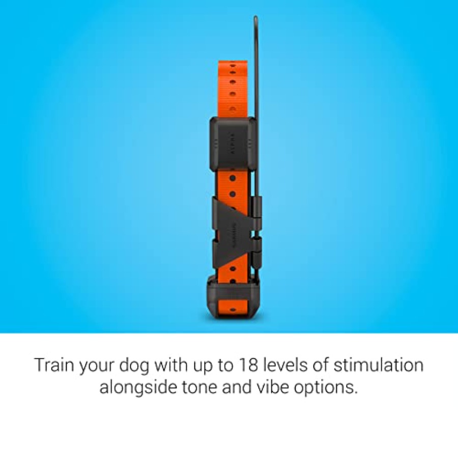 Alpha TT 25 GPS Dog Tracking a - đánh giá và giá Hunting Outdoor Rug
